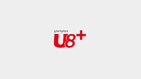 用友U8+